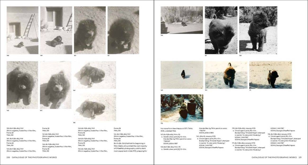 Georgia O'Keeffe, Photographer:: Hardcover