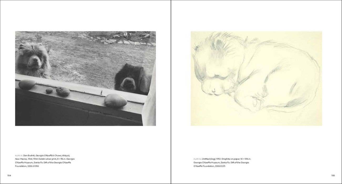 Georgia O'Keeffe, Photographer:: Hardcover