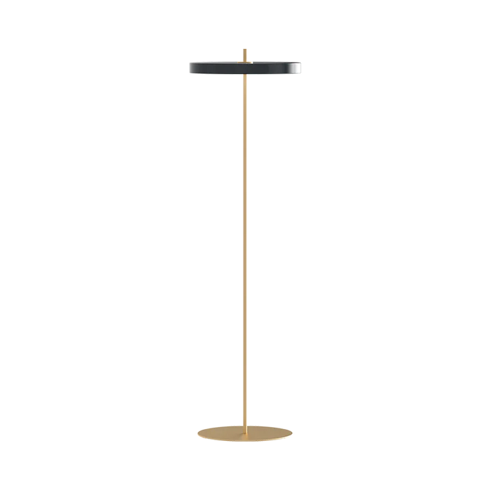 Asteria Floor Lamp