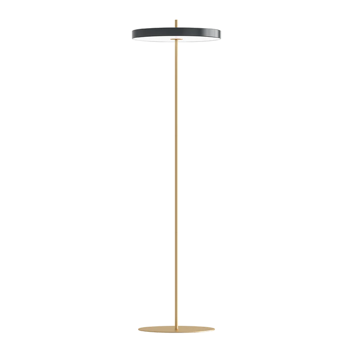 Asteria Floor Lamp