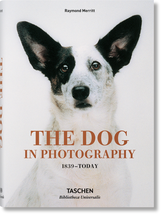 The Dog in Photography 1839 – Today