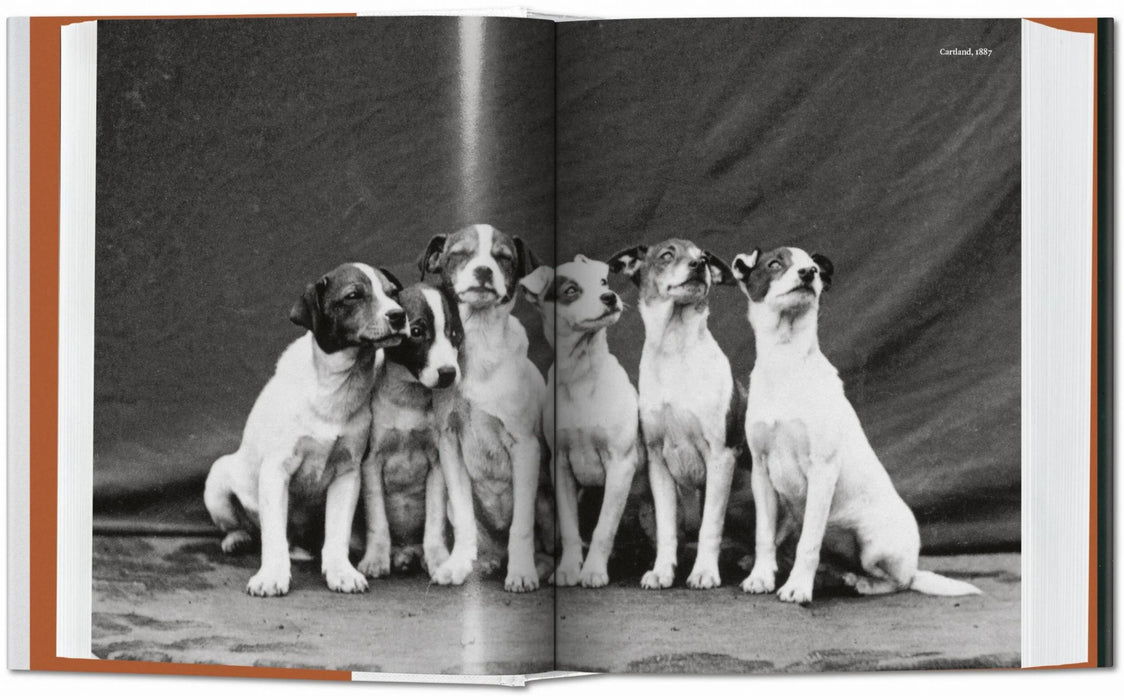 The Dog in Photography 1839 – Today