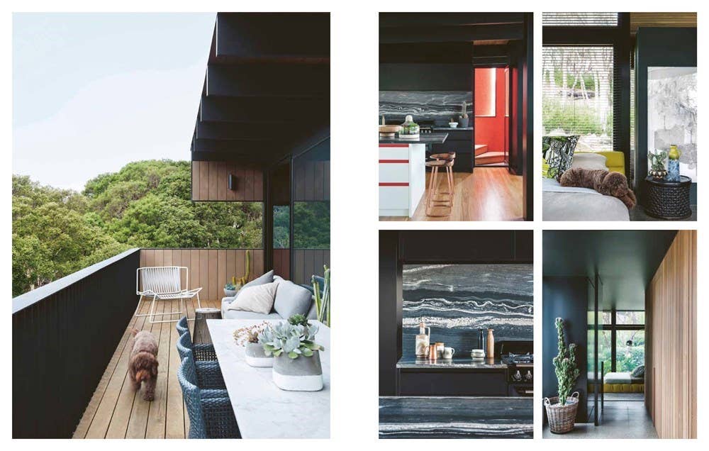 Resident Dog (compact): Hardcover