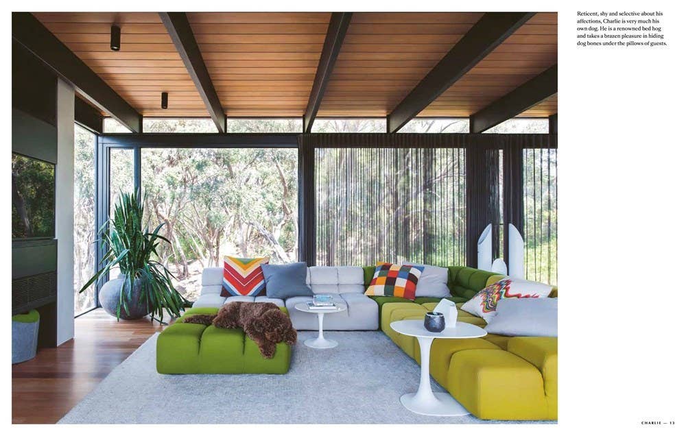 Resident Dog (compact): Hardcover