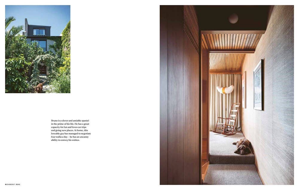 Resident Dog (compact): Hardcover