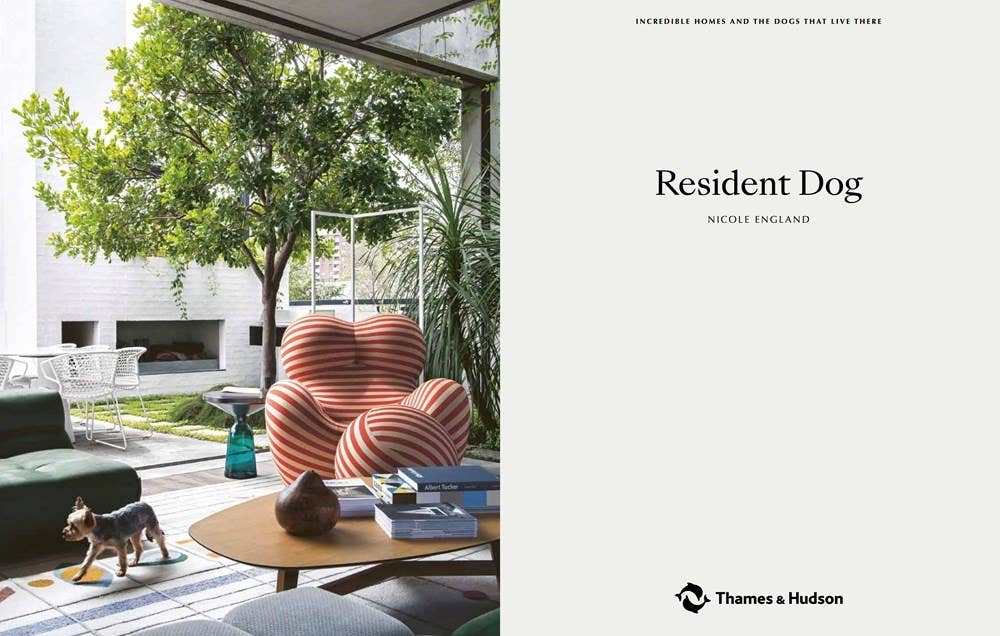 Resident Dog (compact): Hardcover