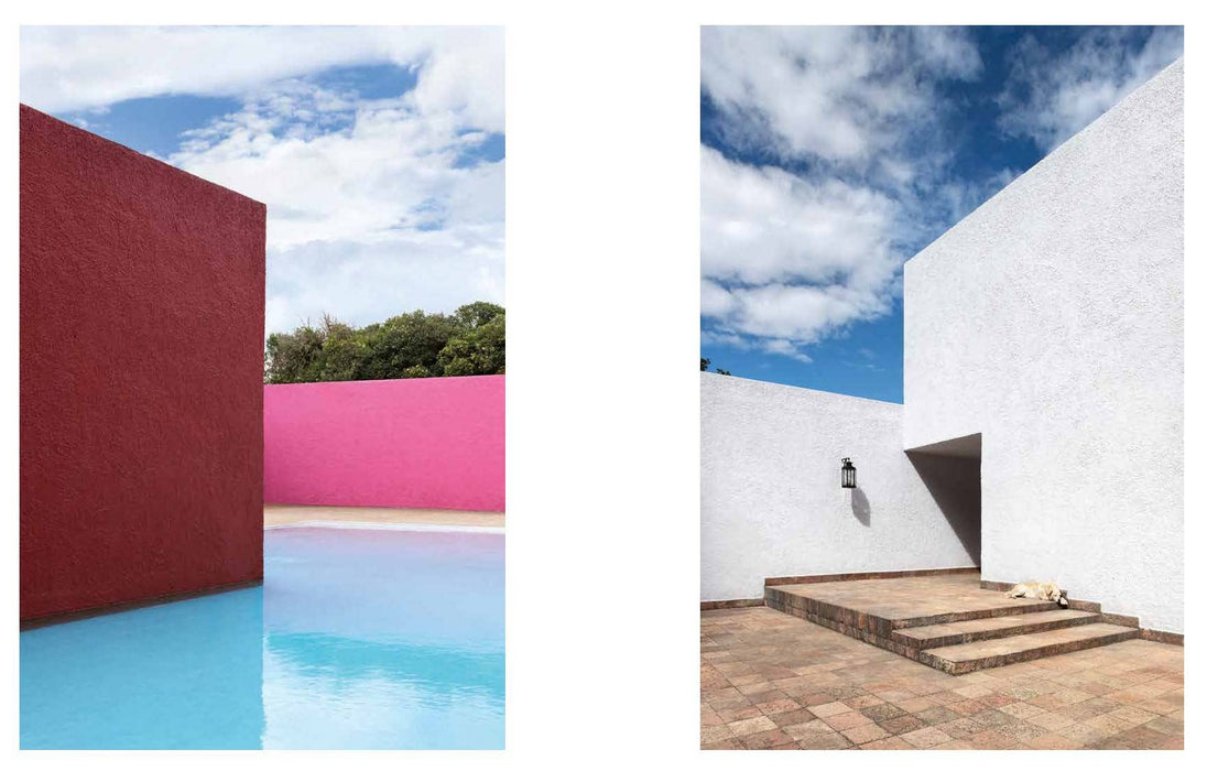 Resident Dog (Volume Two)