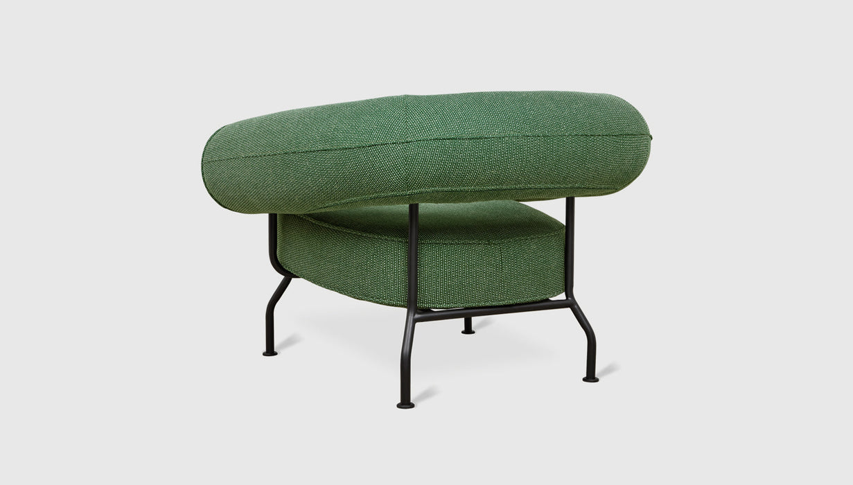Jasper Evergreen