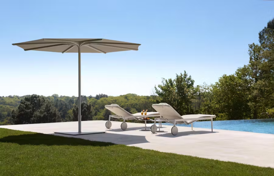 Bloom Parasol