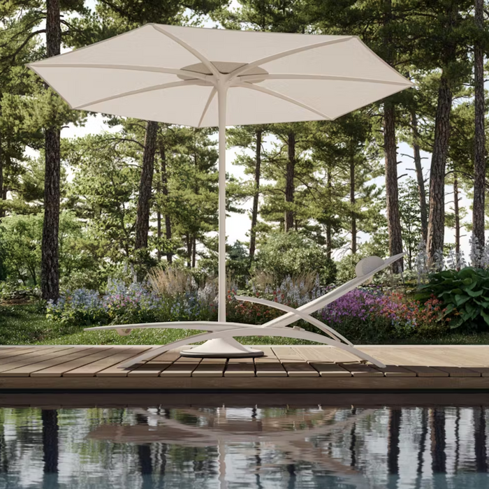 Palma Parasol