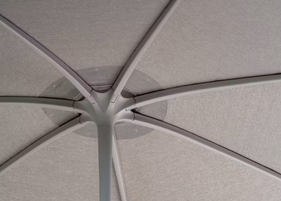 Palma Parasol