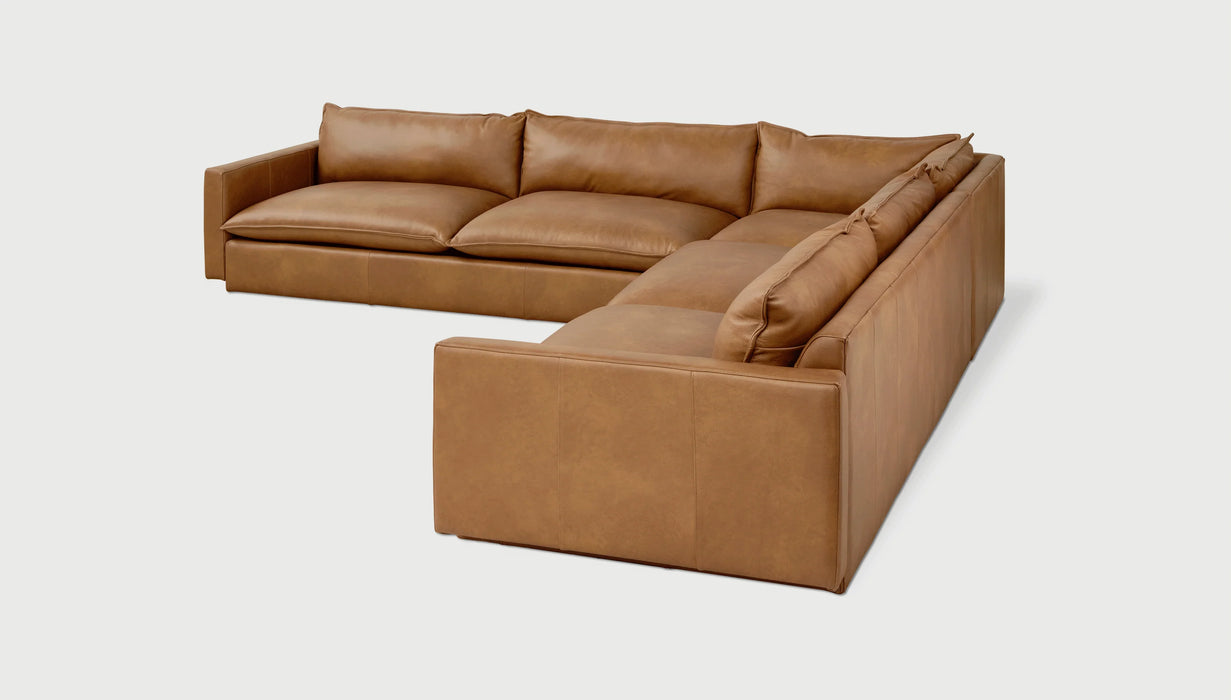 Sola Bi-Sectional