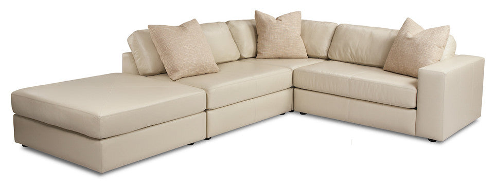 Steve Sofa & Sectional