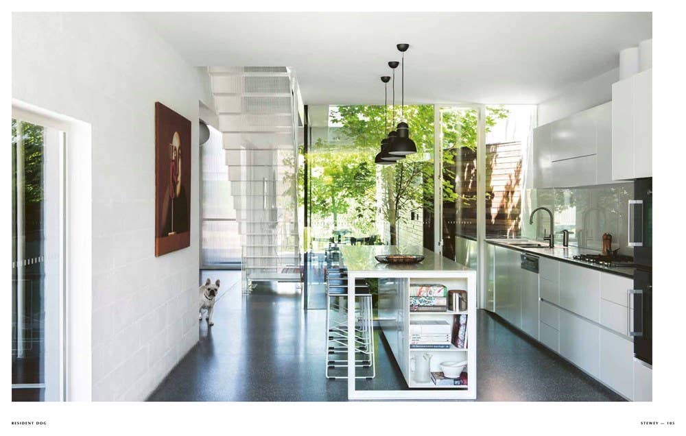 Resident Dog (compact): Hardcover