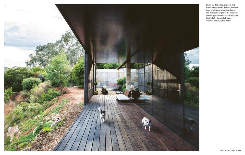 Resident Dog (compact): Hardcover