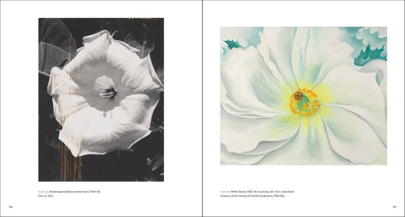 Georgia O'Keeffe, Photographer:: Hardcover