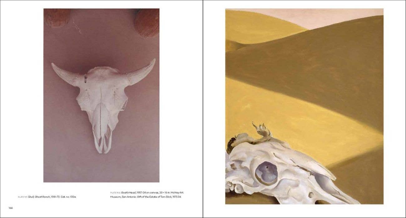 Georgia O'Keeffe, Photographer:: Hardcover