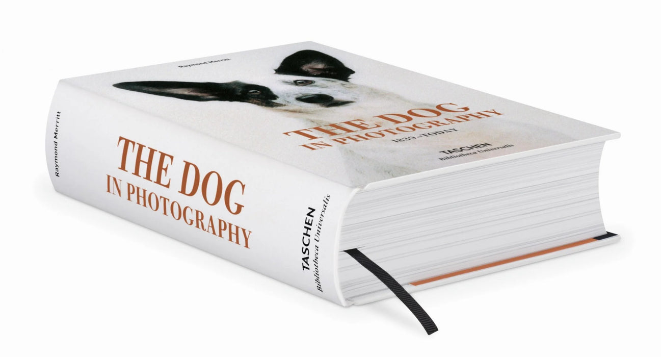 The Dog in Photography 1839 – Today